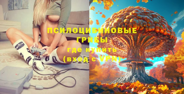 мяу мяу мука Заводоуковск