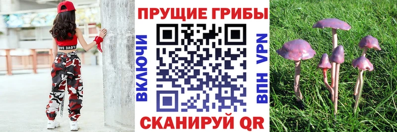 Купить закладки  Артёмовский  Галлюциногенные грибы Magic Shrooms 